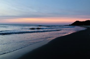 B7C0CB8F-FA5E-4144-86D2-F47DB32A24C2_1_105_c