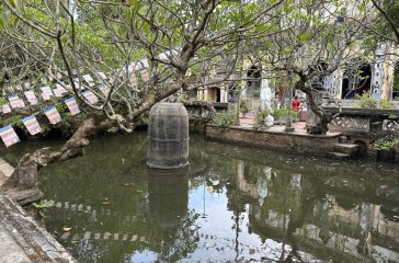 IMG_1001