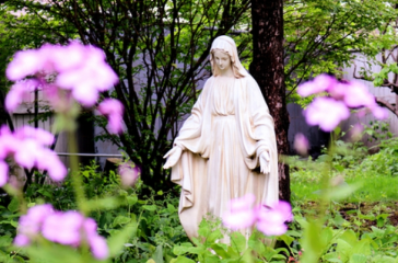 image-41