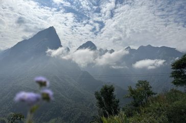 IMG_1594